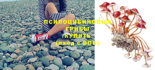 дурь Абинск