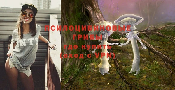 а пвп мука Абаза