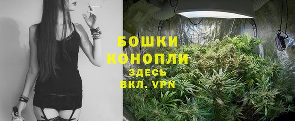 а пвп мука Абаза