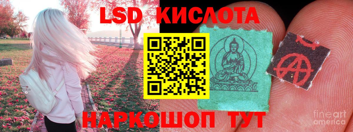 Алатырь  Лсд 25 экстази кислота  Лсд 25 экстази ecstasy  Вход с VPN 