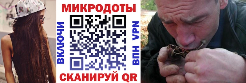 Псилоцибиновые грибы Psilocybine cubensis  Алатырь 
