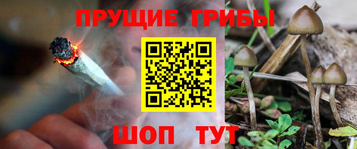 Псилоцибиновые грибы Magic Shrooms  Псилоцибиновые грибы прущие грибы  Алатырь  Вход с VPN 