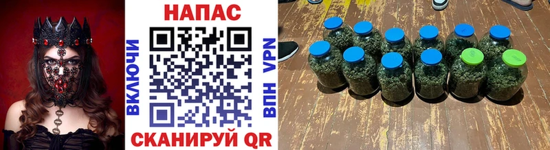 Бошки Шишки SATIVA & INDICA  цены наркотик  Алатырь 